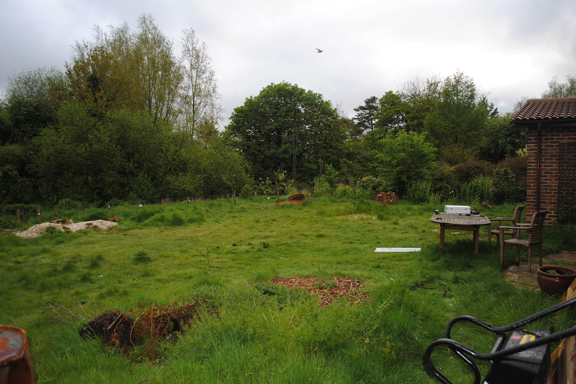 old-basingstoke-garden